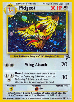Pidgeot - Holofoil