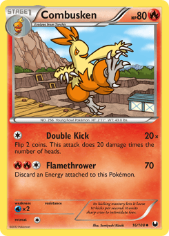 Combusken - Normal