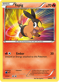 Tepig - Holofoil