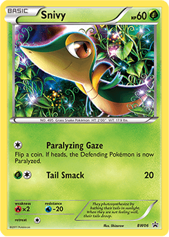Snivy - Holofoil