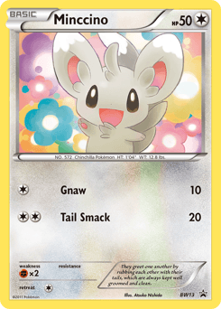 Minccino - Holofoil