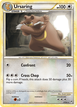 Ursaring - Normal