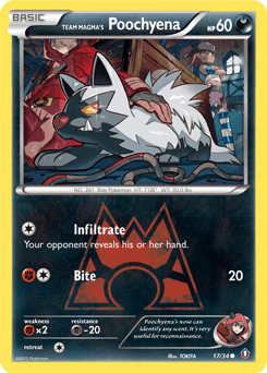 Team Magma's Poochyena - Normal