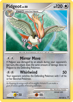 Pidgeot - Normal