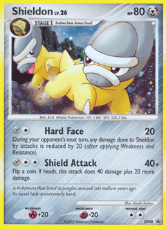 Shieldon - Holofoil