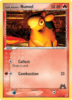 Team Magma's Numel - Normal