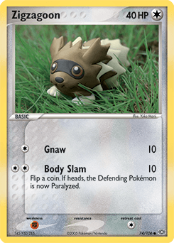 Zigzagoon - Normal