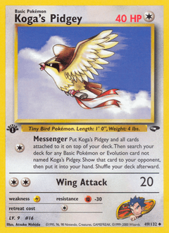 Koga's Pidgey - Normal
