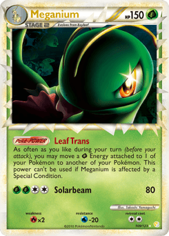 Meganium - Holofoil