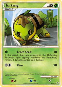 Turtwig - Normal