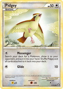 Pidgey - Normal