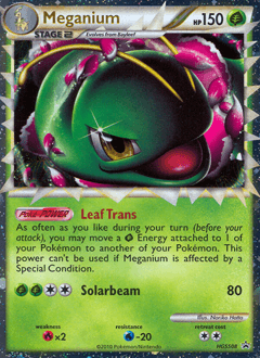 Meganium - Holofoil