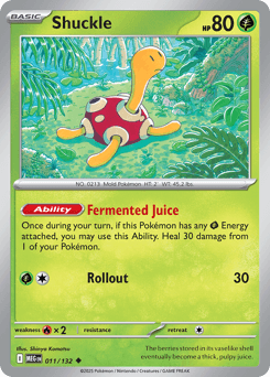 Shuckle - Normal