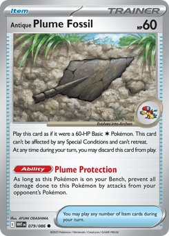 Antique Plume Fossil - Normal