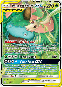 Venusaur & Snivy-GX - Holofoil