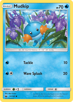 Mudkip - Normal