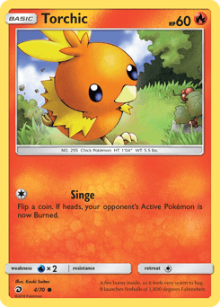 Torchic - Normal