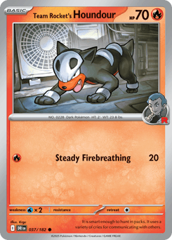 Team Rocket's Houndour - Normal