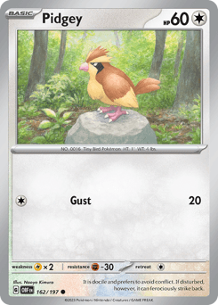 Pidgey - Normal