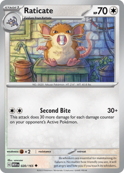 Raticate - Normal