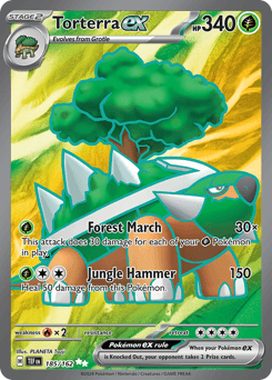 Torterra ex - Holofoil