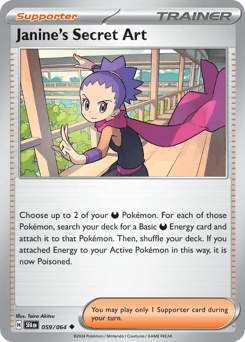 Janine's Secret Art - Normal