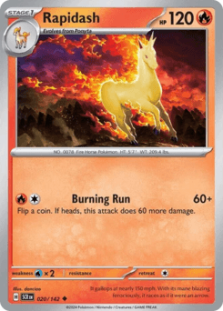 Rapidash - Normal