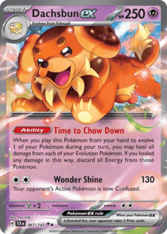 Dachsbun ex - Holofoil