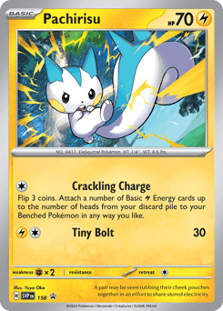 Pachirisu - Holofoil