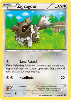 Zigzagoon - Normal