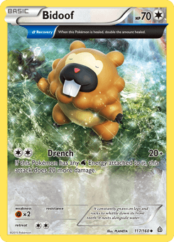 Bidoof - Normal