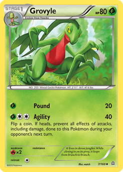 Grovyle - Normal