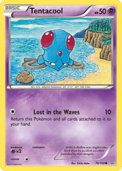 Tentacool - Normal