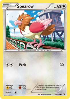 Spearow - Normal