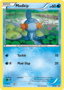 Mudkip - Holofoil