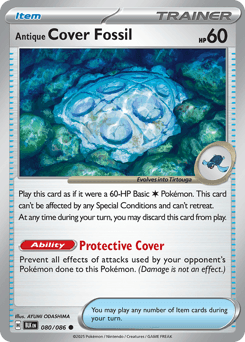 Antique Cover Fossil - Normal