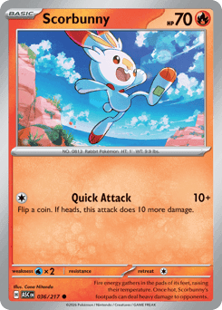 Scorbunny - Normal