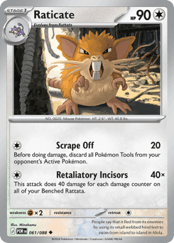 Raticate - Normal