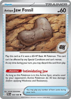 Antique Jaw Fossil - Normal