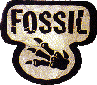 Logo de Fossil