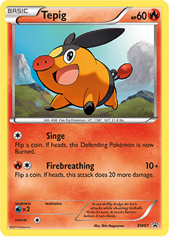 Tepig - Holofoil