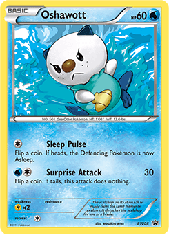 Oshawott - Holofoil