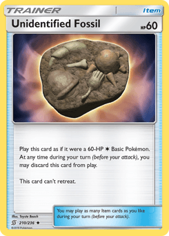 Unidentified Fossil - Normal