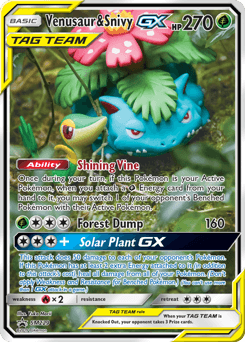 Venusaur & Snivy-GX - Holofoil