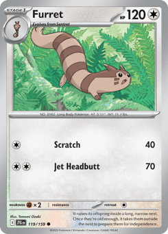 Furret - Normal