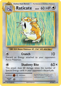 Raticate - Normal