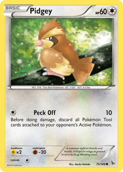 Pidgey - Normal