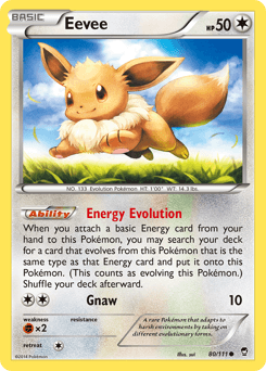 Eevee - Normal