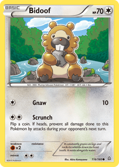 Bidoof - Normal