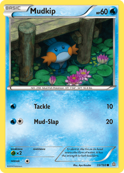 Mudkip - Normal